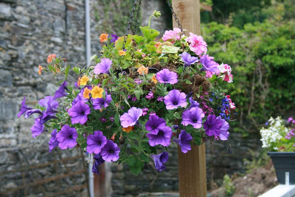 School House Cottage B&B And Tea Garden Hawkshead Exterior foto